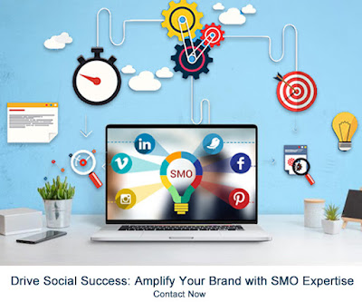 Amazing Web Design Facts website designing company in delhi