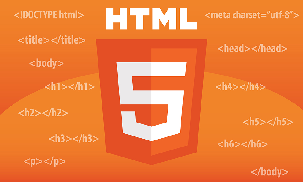 Amazing Web Design Facts website designing company in delhi