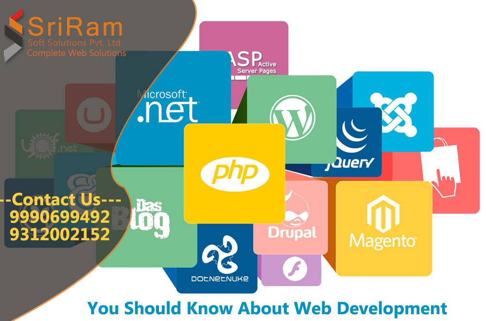 You Should Know About Web Development website designing company in delhi