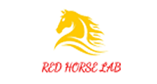 Best Website Designing & Development Company in Delhi