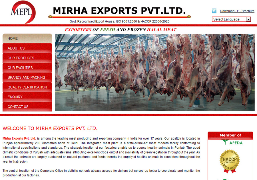 website designing in Krishna Nagar, web Promotion in Krishna Nagar