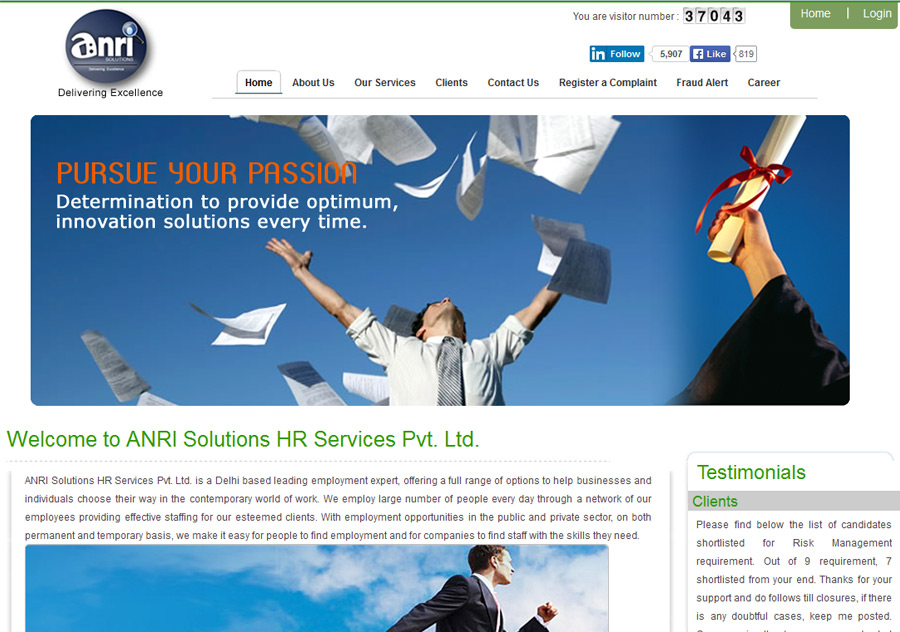 Web promotion krishna nagar