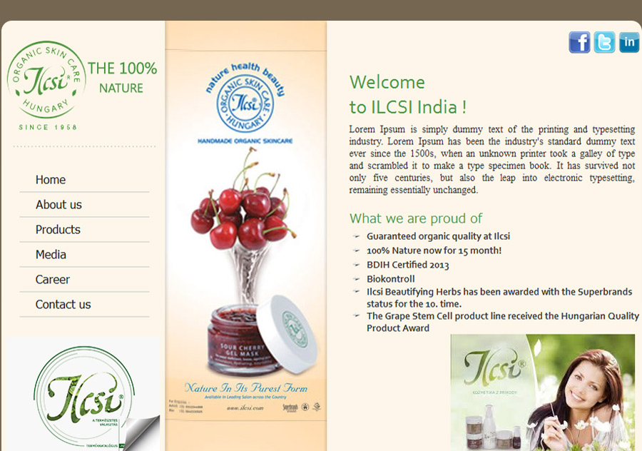 web designing in krishna nagar, website designing in krishna nagar, web promotion krishna nagar, web designs krishna nagar, website development in krishna nagar, web promotion company in krishna nagar