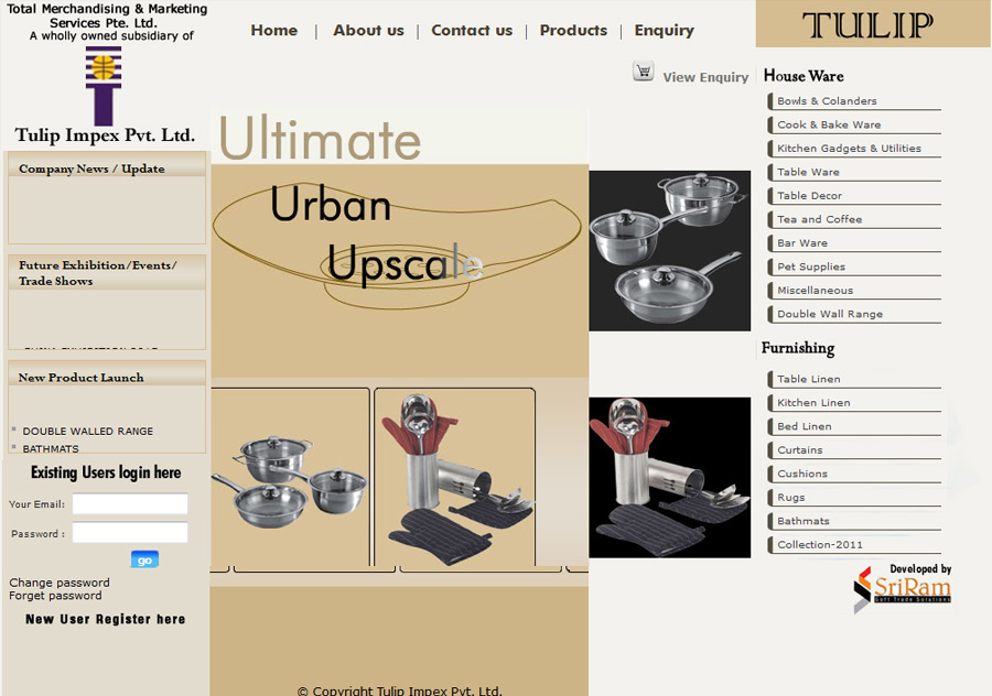 website designing in Krishna Nagar, website design in Krishna Nagar, web Promotion in Krishna Nagar