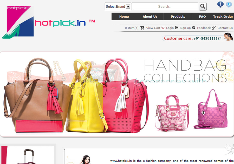 website designing in Krishna Nagar, website design in Krishna Nagar, web Promotion in Krishna Nagar