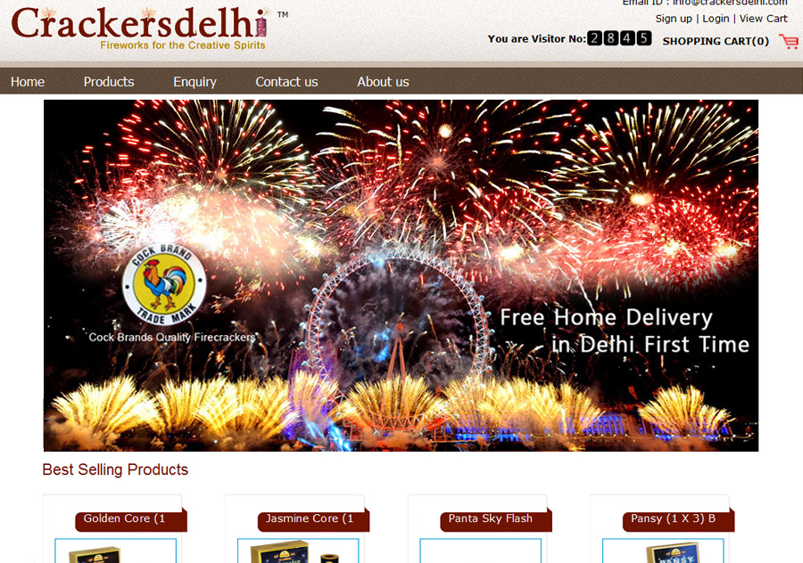 web designing in krishna nagar, website designing in krishna nagar, web promotion krishna nagar, web designs krishna nagar, website development in krishna nagar, web promotion company in krishna nagar