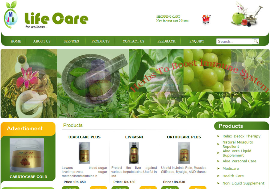 web designing in krishna nagar, website designing in krishna nagar, web promotion krishna nagar, web designs krishna nagar, website development in krishna nagar, web promotion company in krishna nagar