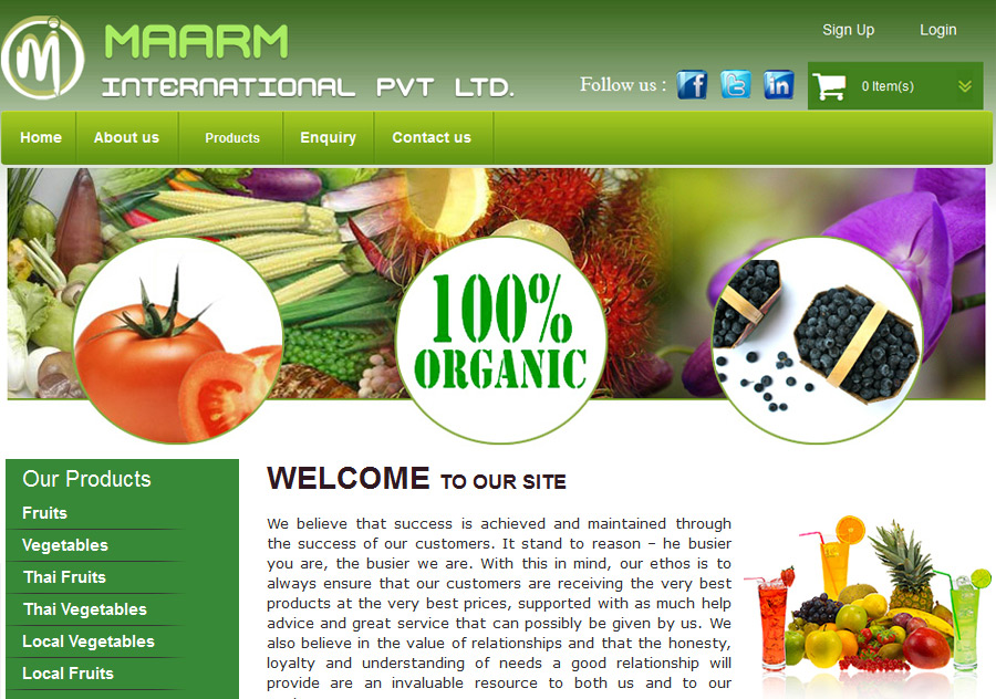 web designing in krishna nagar, website designing in krishna nagar, web promotion krishna nagar, web designs krishna nagar, website development in krishna nagar, web promotion company in krishna nagar