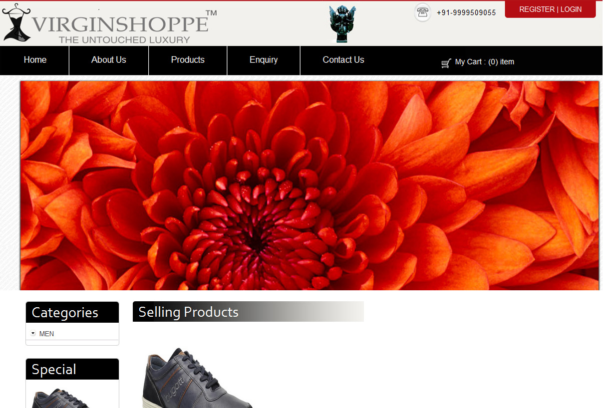 website designing company in Krishna Nagar, web promotion in Krishna Nagar,