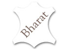  website designing in Krishna Nagar, web promotion in Krishna Nagar
